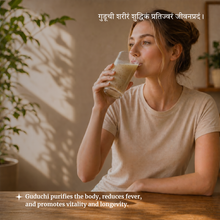 4-shloka-guduchi.png