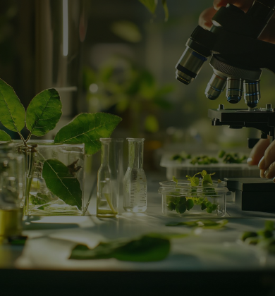 Welcome to the Scientific Part of Our Brand