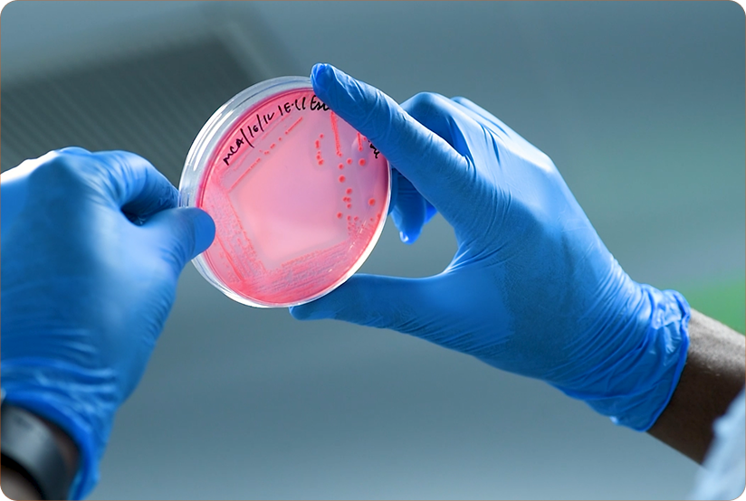 Microbiological Testing
