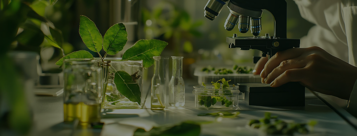 Welcome to the Scientific Part of Our Brand